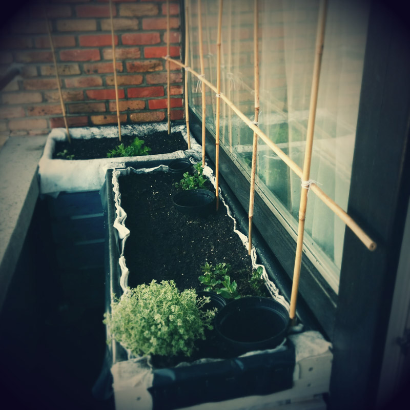 Mini jardin sur balcon